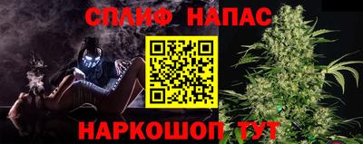 соль ск Новозыбков