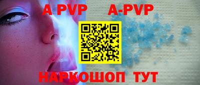 соль ск Новозыбков