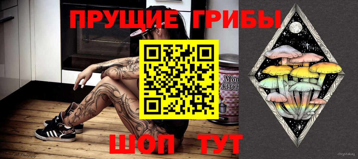 Псилоцибиновые грибы GOLDEN TEACHER  Вход с VPN  наркота  Сатка 