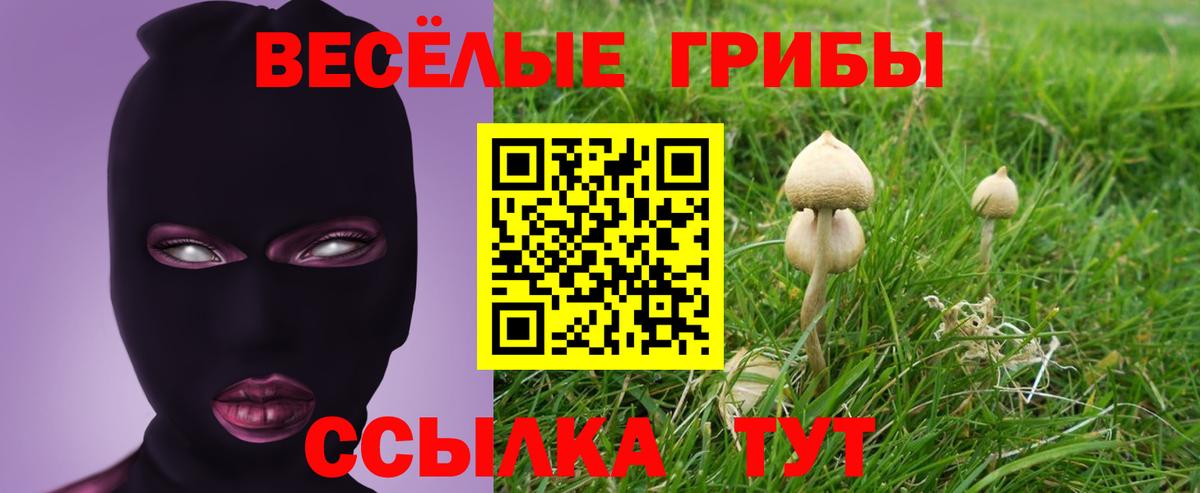 Псилоцибиновые грибы мухоморы Сатка